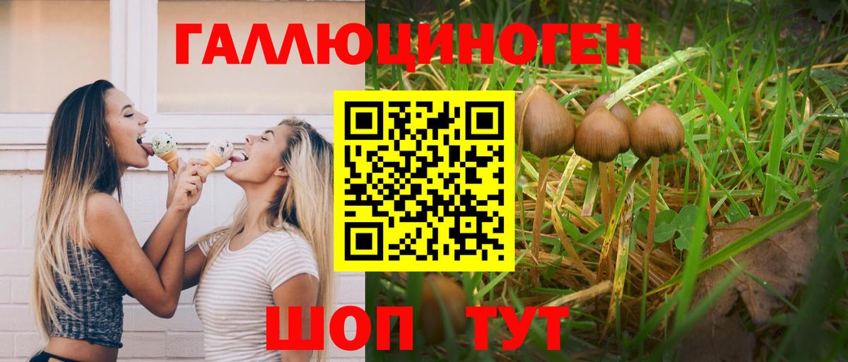 Галлюциногенные грибы GOLDEN TEACHER  купить закладку  Юрга  Псилоцибиновые грибы Magic Shrooms  Вход с VPN 