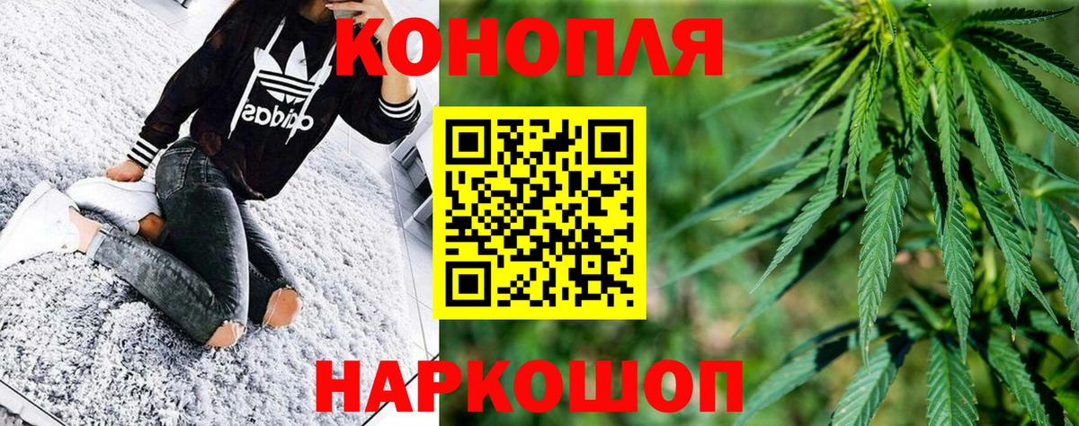 Канабис конопля Юрга